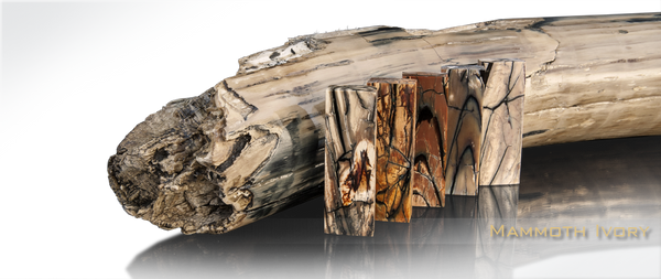 El Rey –Titanium Button Lock with Damasteel with Carmel Fossilized Mammoth Tusk