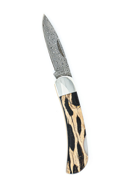 Natural Stabilized Cholla Cactus - Damascus 3" Lockback with 2 1/4" blade.